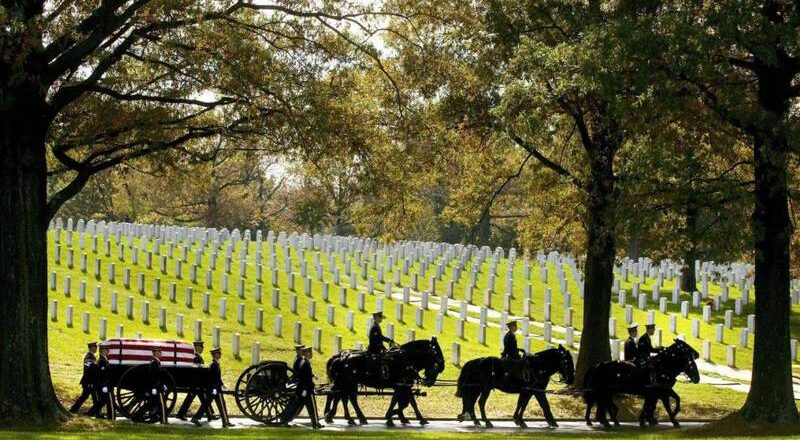 美國陸軍將終止禮儀馬匹使用 發言人：會將馬送去領養
