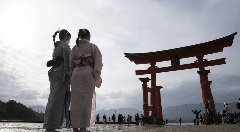 杜絕「假觀光真換照」日本駕照轉換新制擬10月上路  台灣不受影響