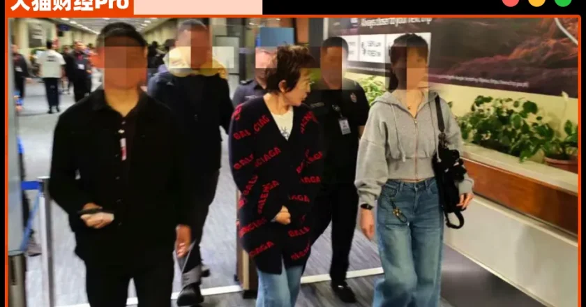 首富夫妻:一個暴力抗法,一個捲走10億被抓