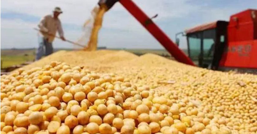 再下單10船  中國持續購入美大豆