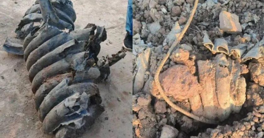 钓鱼爱好者跟踪一个月，揪出偷排企业！