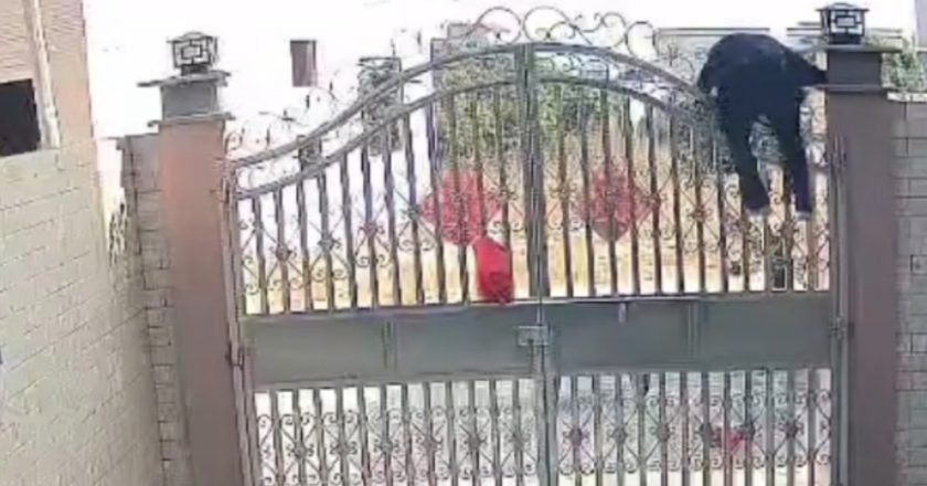 中国82岁老奶奶翻3米高围栏出门  监控画面吓人